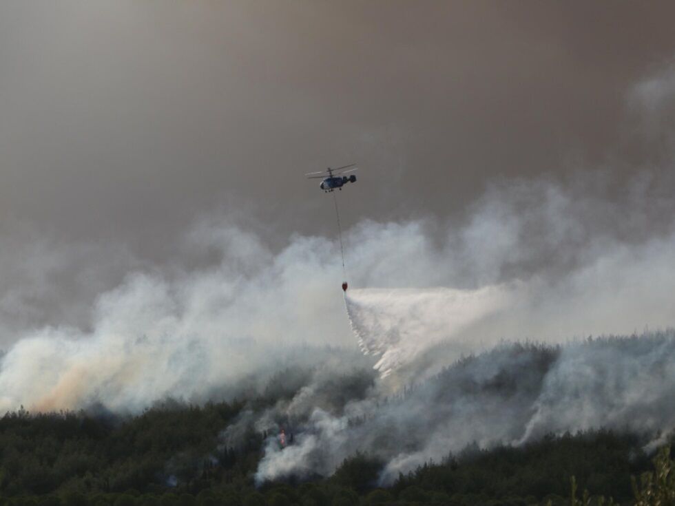 Zaradi gozdnega požara v Turčiji evakuirali več kot 250 ljudi