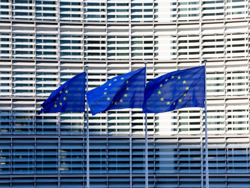 Ukrajinski begunci bolj zaupajo EU kot Avstrijci