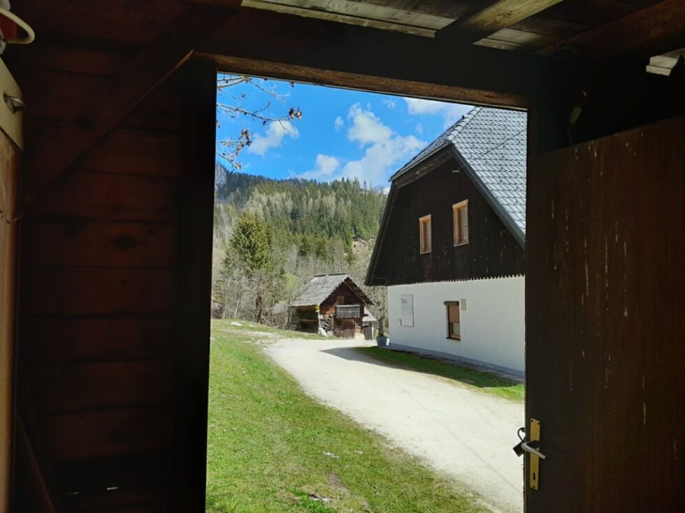 Kontroverzni policijski poseg na Peršmanhofu stal skoraj 14.800 evrov