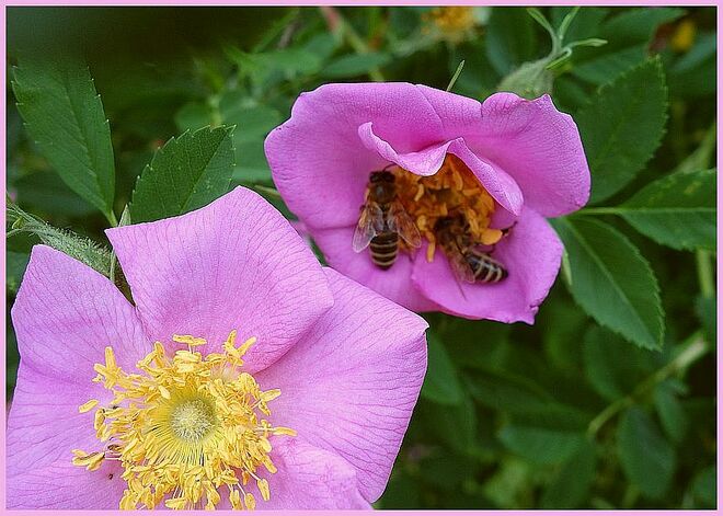 . . . unausgewogen . . .