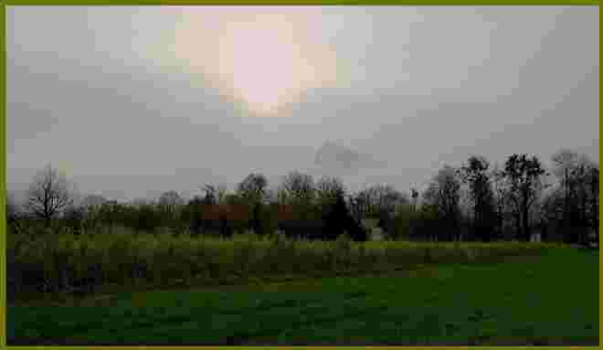 . . . zartes SENFGELB . . . .