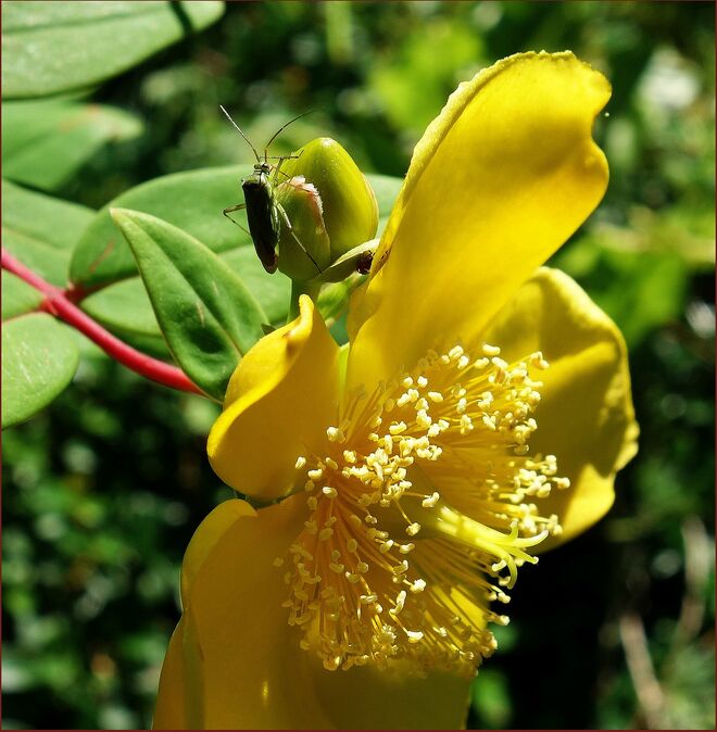 . . .  und was nun weiter ??