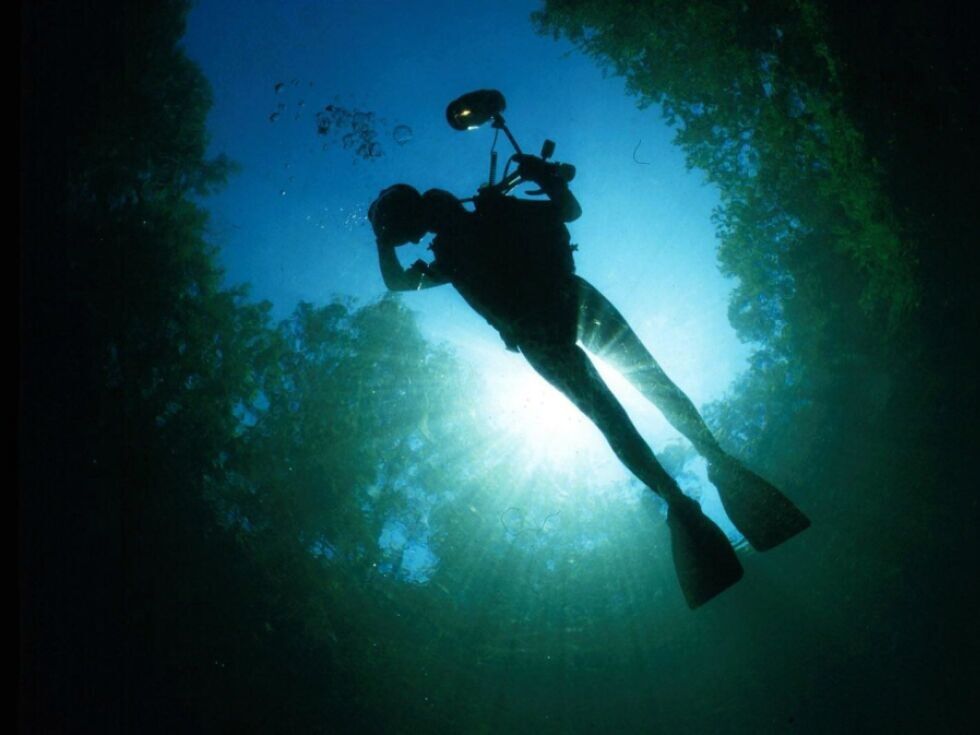 Vier Taucher im Salzkammergut verletzt