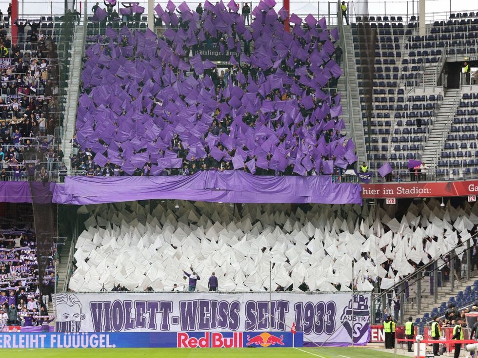 Violette Fans begeistern im Derby auch Red-Bull-Talent: Austria Salzburg nur zu Beginn "reif für die Champions League"