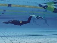 Vom Krebs zum Vizeweltmeister im Apnoetauchen: "Ich bin Sportler bis zur Urne"