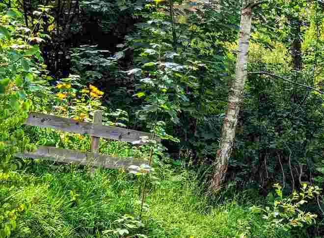 . . . vorm Abgrund . . .