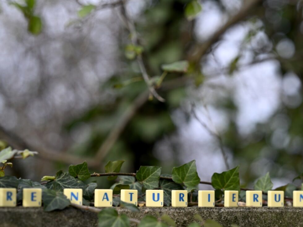 Avstrijska družba išče besedo leta 2025