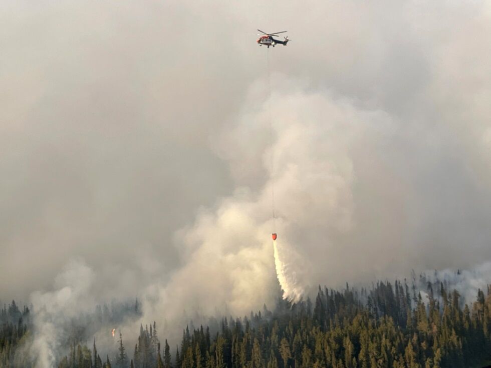 Waldbrände in Kanada verwüsteten heuer bereits enorme Fläche