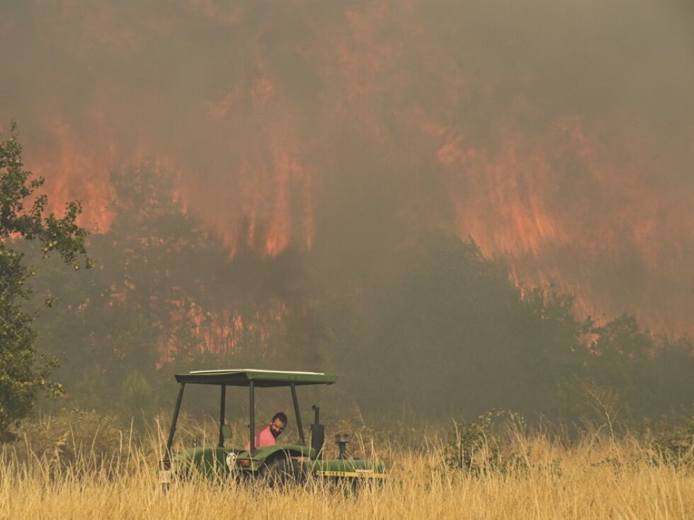 Gozdni požari v Španiji po koncu vročinskega vala se umirjajo