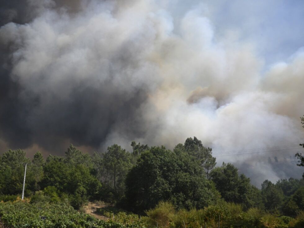 Waldbrände in Spanien zerstörten weitere 30.000 Hektar Land