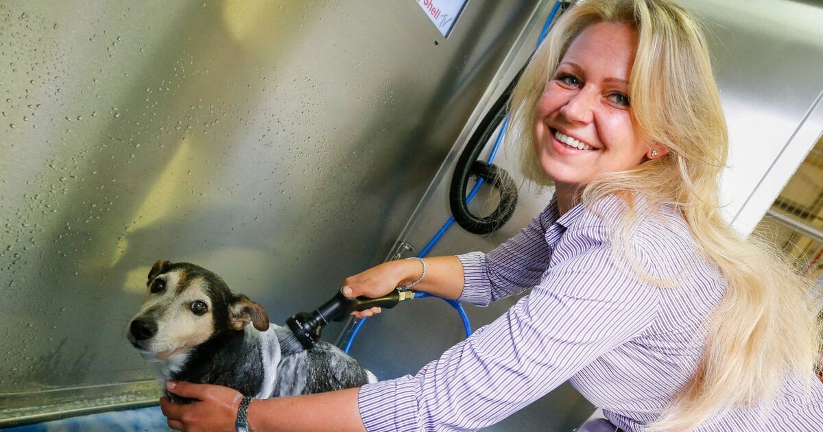 Waschanlage für Hunde in der Stadt Salzburg SN.at