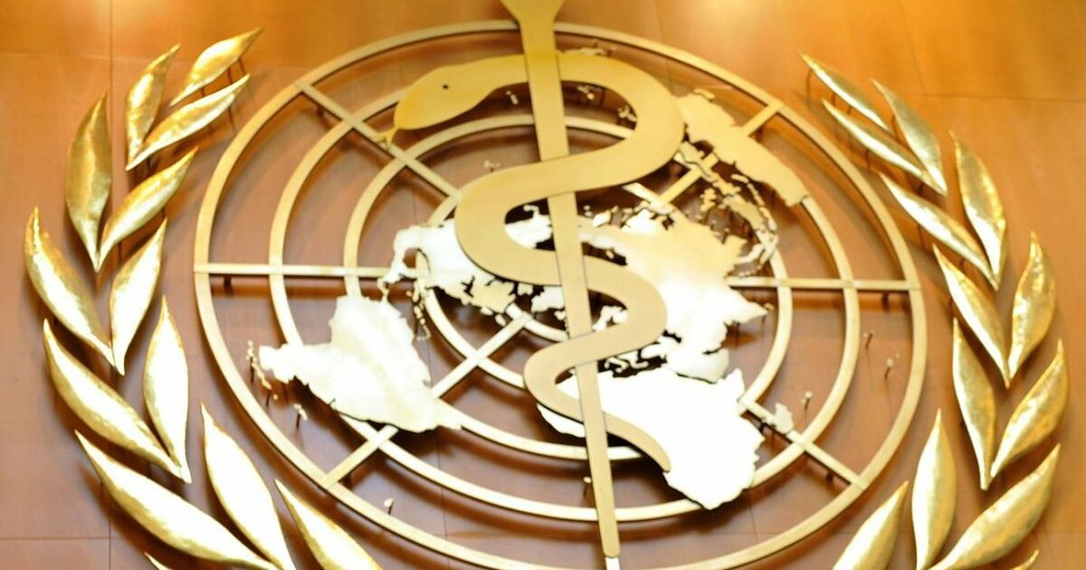 Weltgesundheitsorganisation reformiert sich umfassend | SN.at