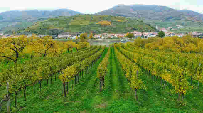 Welt Kulturerbe Wachau
