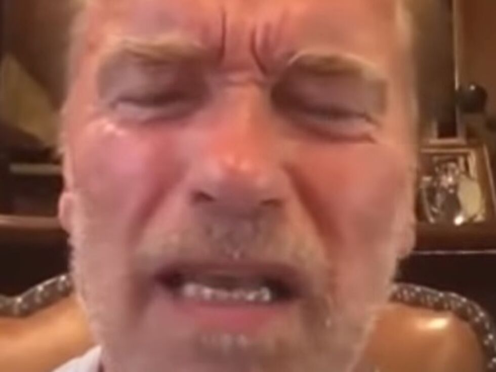 Donald Trump als "nasse Nudel" beschimpft - das ist Poesie von zeitloser Wahrheit