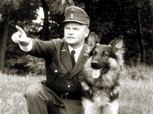 Die Zollbeamten setzten auch Spürhunde ein, um die Schmuggler zu erwischen.  