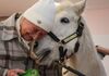 Wie ein Pony Freude in Seniorenheim im Tennengau bringt