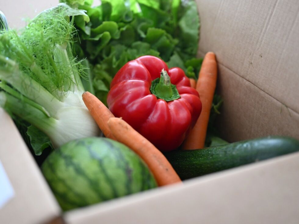 Dunaj uvaja strategijo za krožno gospodarstvo in zmanjšanje odpadkov