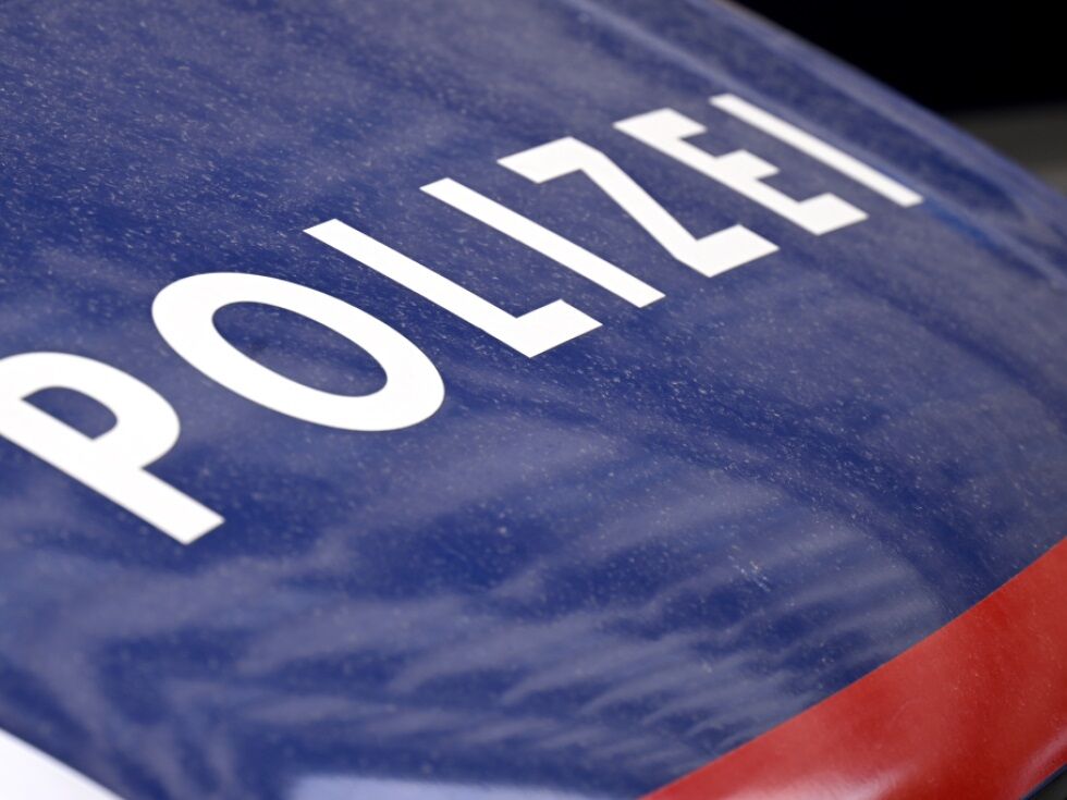 Wiener Ermittler fahnden nach Rip-Deal-Betrüger