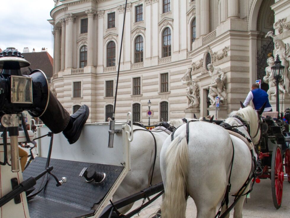 Študija potrdila, da dunajski fiakerji dobro prenašajo vročino