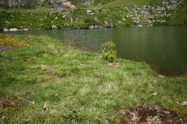 Krummschnabelsee obertauern 30930 2016-08-04.jpg