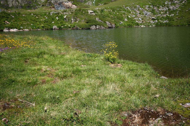 Datei:Krummschnabelsee obertauern 30930 2016-08-04.jpg