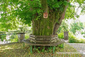 Naturdenkmäler im Kirchenbezirk von Neumarkt am Wallersee 03.jpg