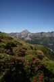 Obertauern gurpitscheck 5130.jpg