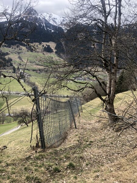 Datei:Schutznetz oberhalb des Ingelsberggutes.jpg