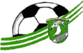 USC Eugendorf Logo.PNG