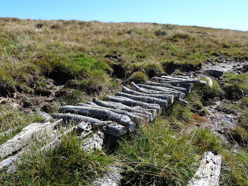 Datei:Wege. Knüppelsteig im Hundssteingebiet.jpg