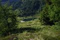 Wirpitschsee, unterer 29566 2016-07-10.jpg