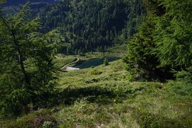 Wirpitschsee, unterer 29566 2016-07-10.jpg