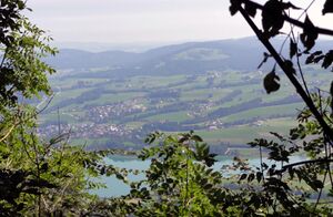 Zell am Moos, Ausblick vom Kolomansberg.jpg