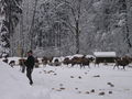 Vorschaubild der Version vom 00:38, 24. Dez. 2009