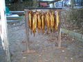 PC220078.JPG