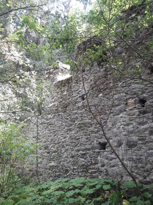 Burgruine Klausegg Seetal Lungau 20250818 1 (116).jpg