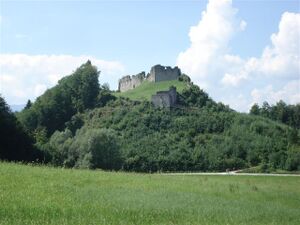 Die Plainburg von Osten.JPG