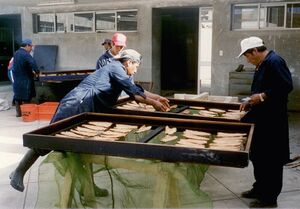 Gruell Peru 10.jpg
