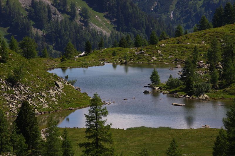 Datei:Lacken weißpriach 29508 2016-07-10.jpg