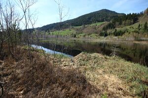 Mandlinger moor 69809 2018-04-18.jpg