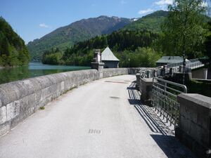 P1000726.JPG