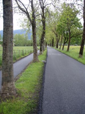 Porsche Allee2.jpg