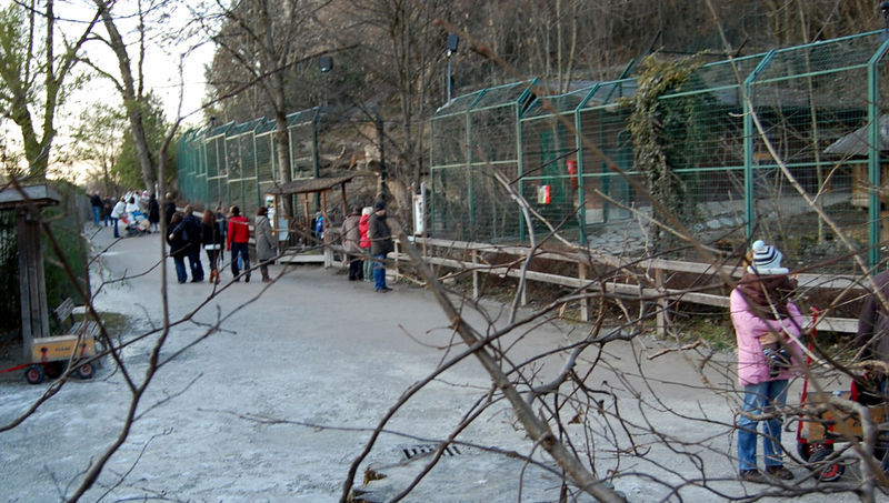 Datei:Salzburg Zoo-Impression.jpg