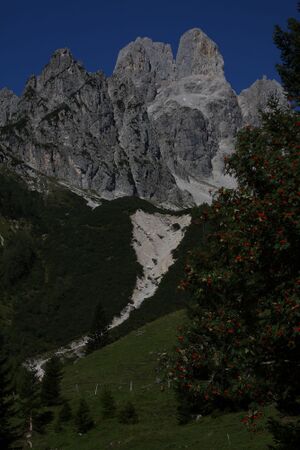 Bischofsmütze 36834 2011-09-11.jpg