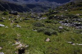 Stoderkar -lindlsee 34037 2016-08-25.jpg