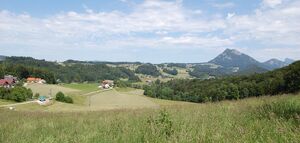 DSC 0048.JPG