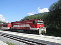 Pinzgauer Lokalbahn.jpg