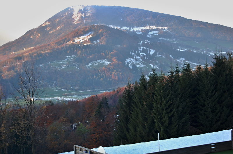 Datei:2007-10-28, Ehrentrudisalm 032.jpg