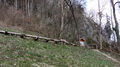Alte Soleleitung in Berchtesgaden.jpg