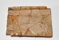 Archäologische Grabungen in Pfongau Fund 02.jpg